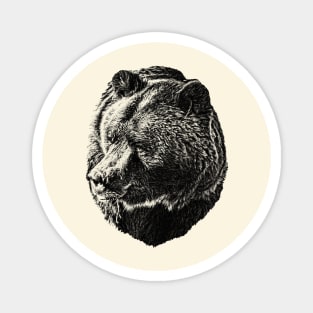 Brown bear Magnet